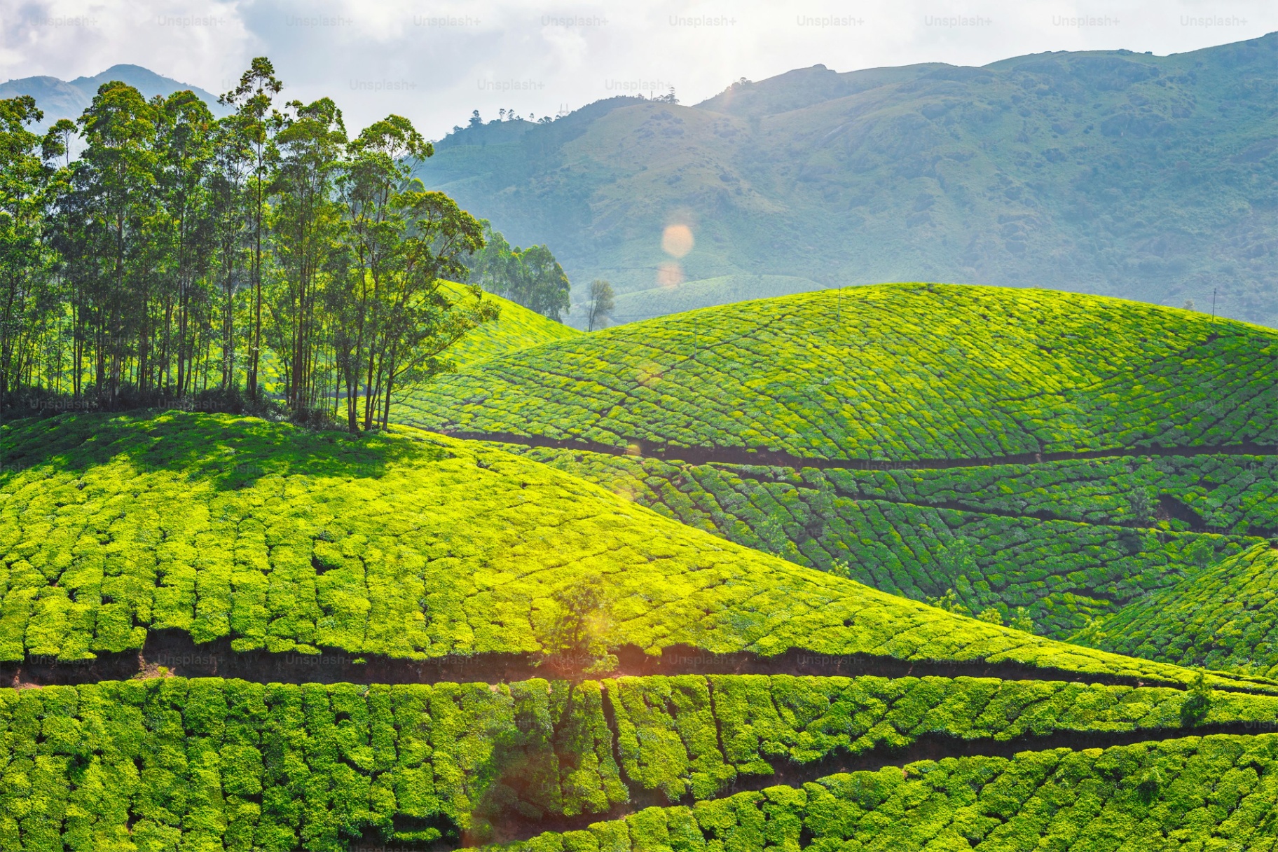 Bangalore to Munnar tour package cab service Kerala